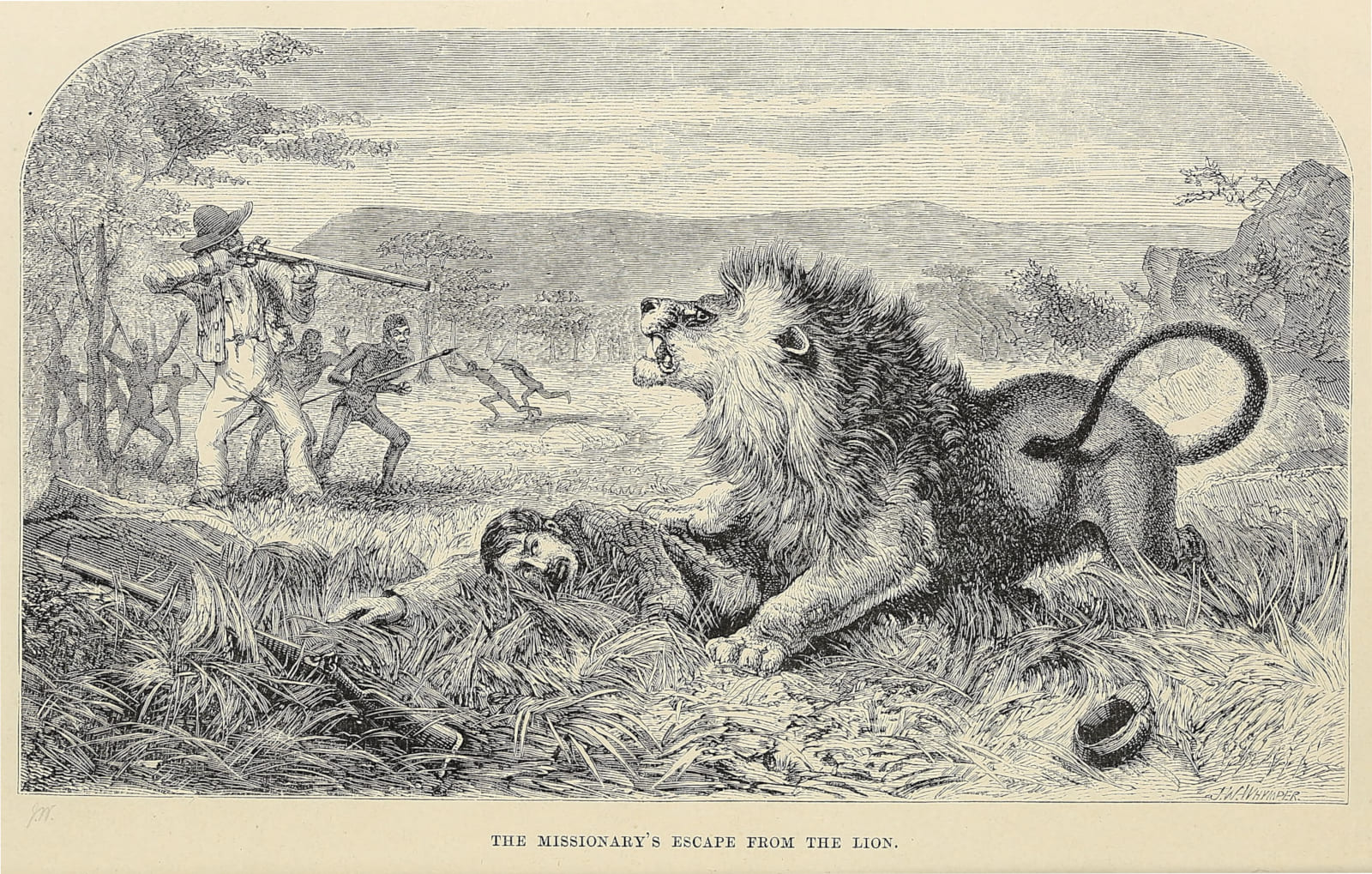 David Livingstone es atacado por un león - Ilustración original del libro Viajes y Exploraciones en África de 1857